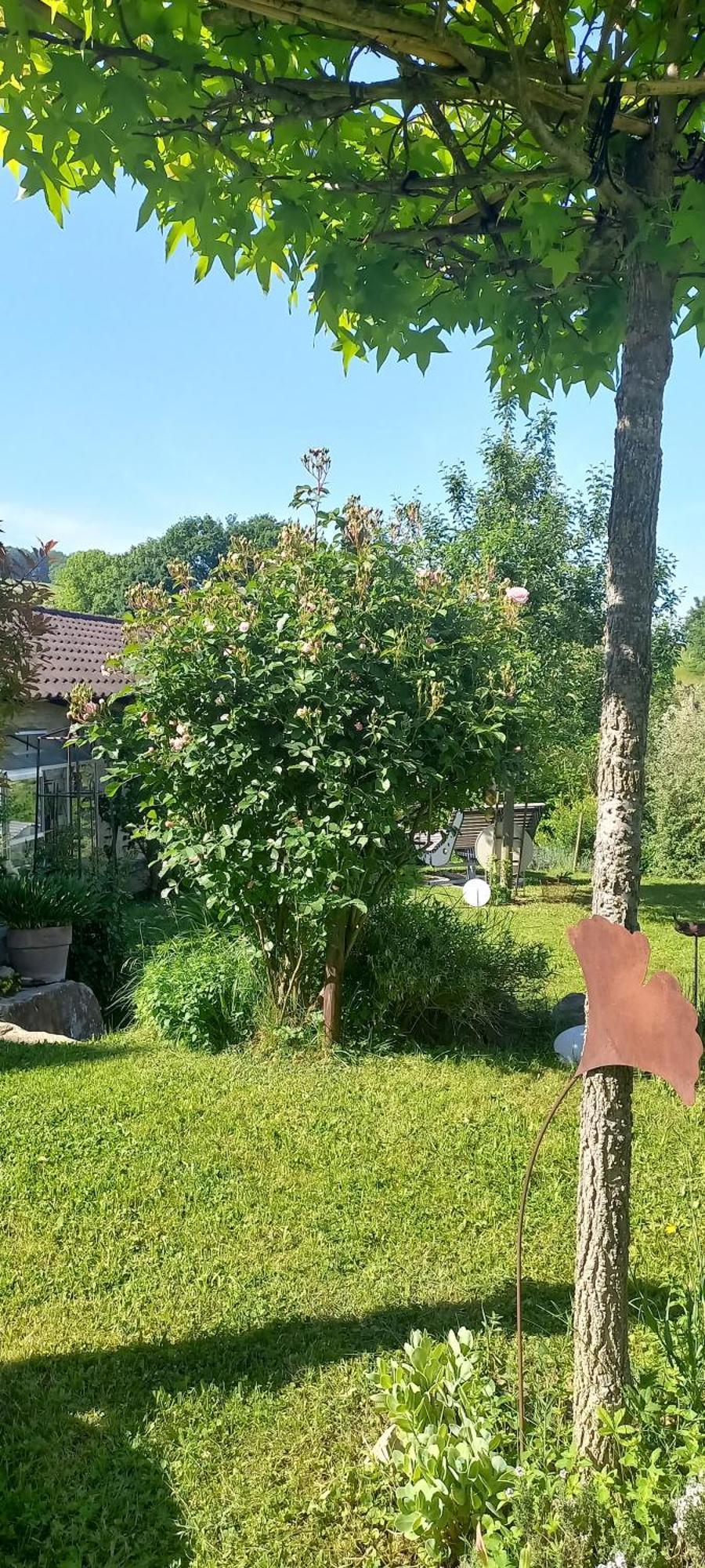 Ferienwohnung Rebgaertle Britzingen ภายนอก รูปภาพ